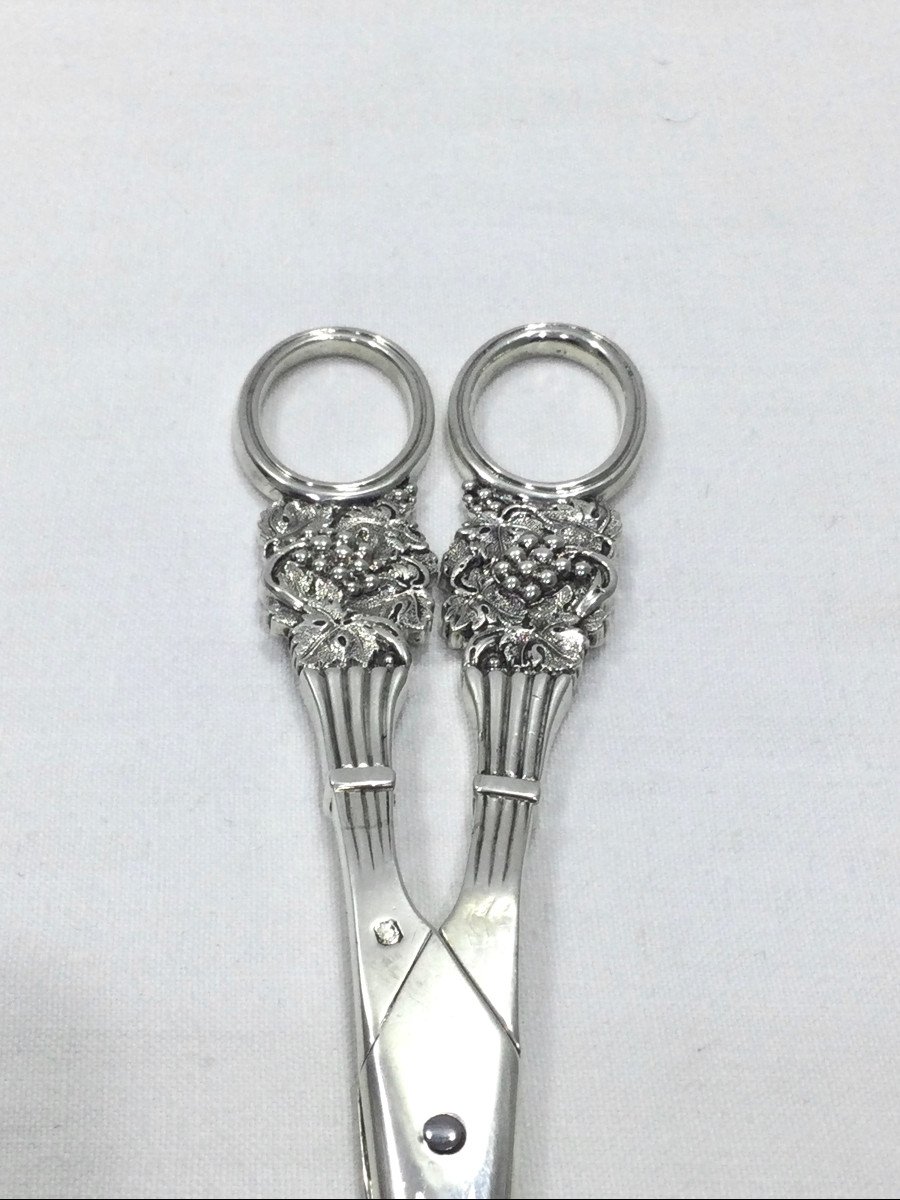 Pierre Queille - Pair Of Silver Grape Scissors-photo-6