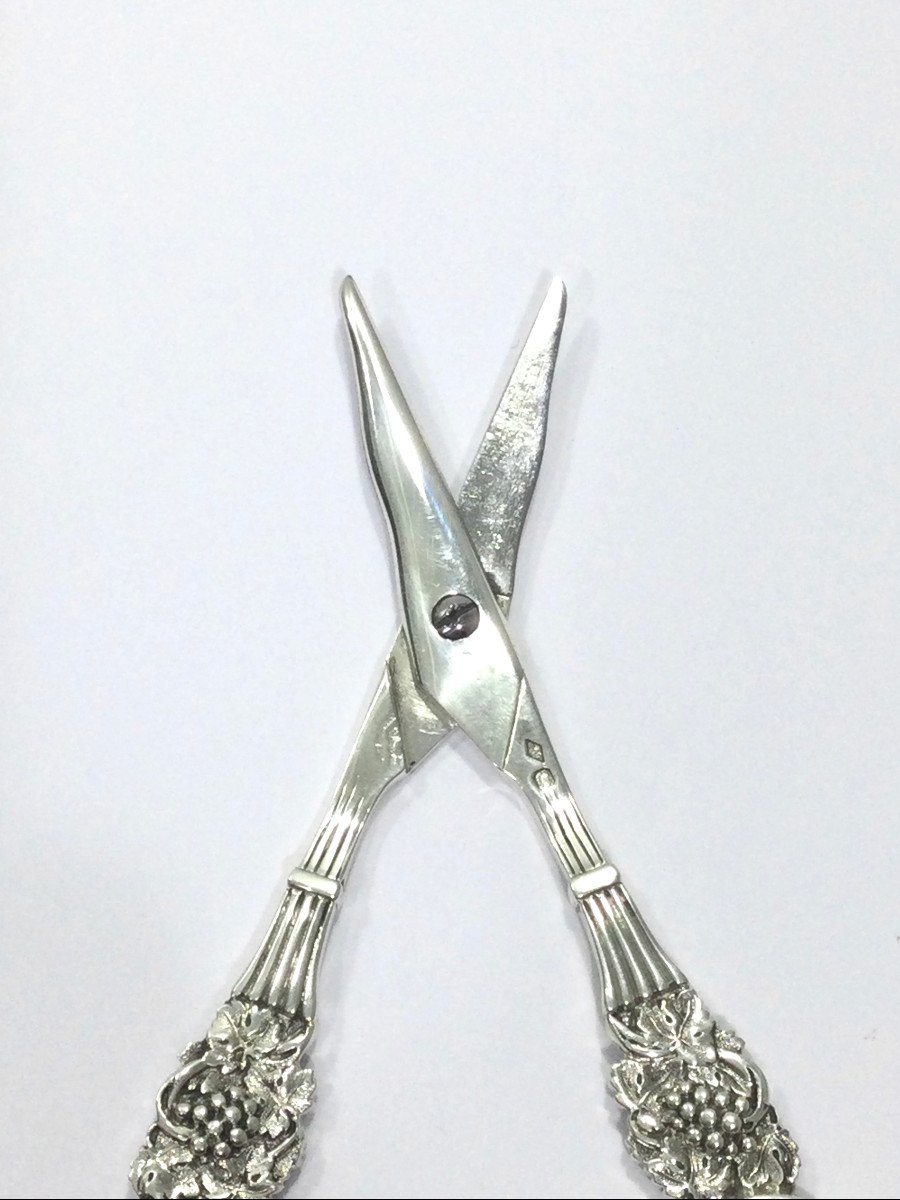 Pierre Queille - Pair Of Silver Grape Scissors-photo-7