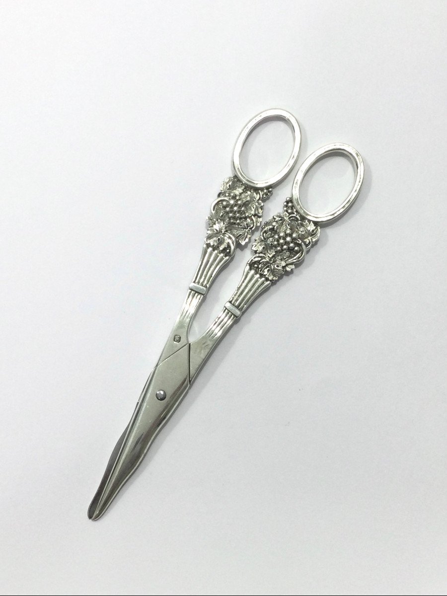 Pierre Queille - Pair Of Silver Grape Scissors-photo-8