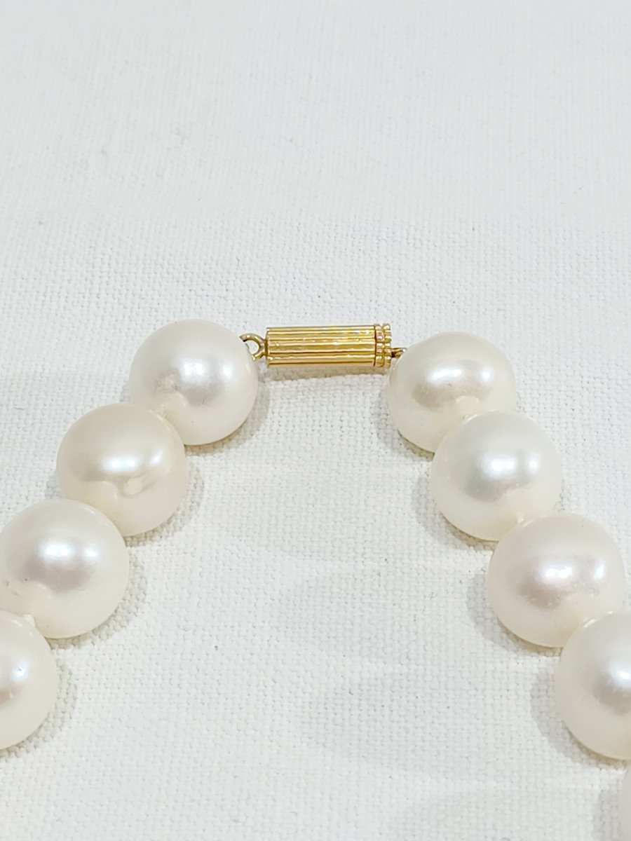 Acoya Pearl Necklace-photo-2