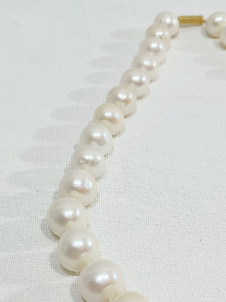 Acoya Pearl Necklace-photo-3