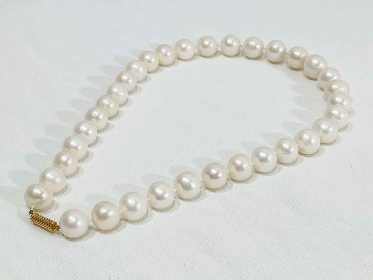 Acoya Pearl Necklace-photo-4