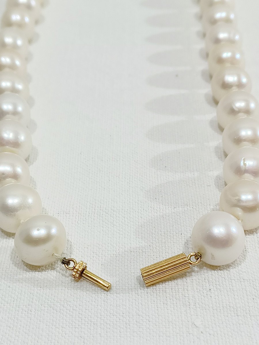 Acoya Pearl Necklace-photo-5