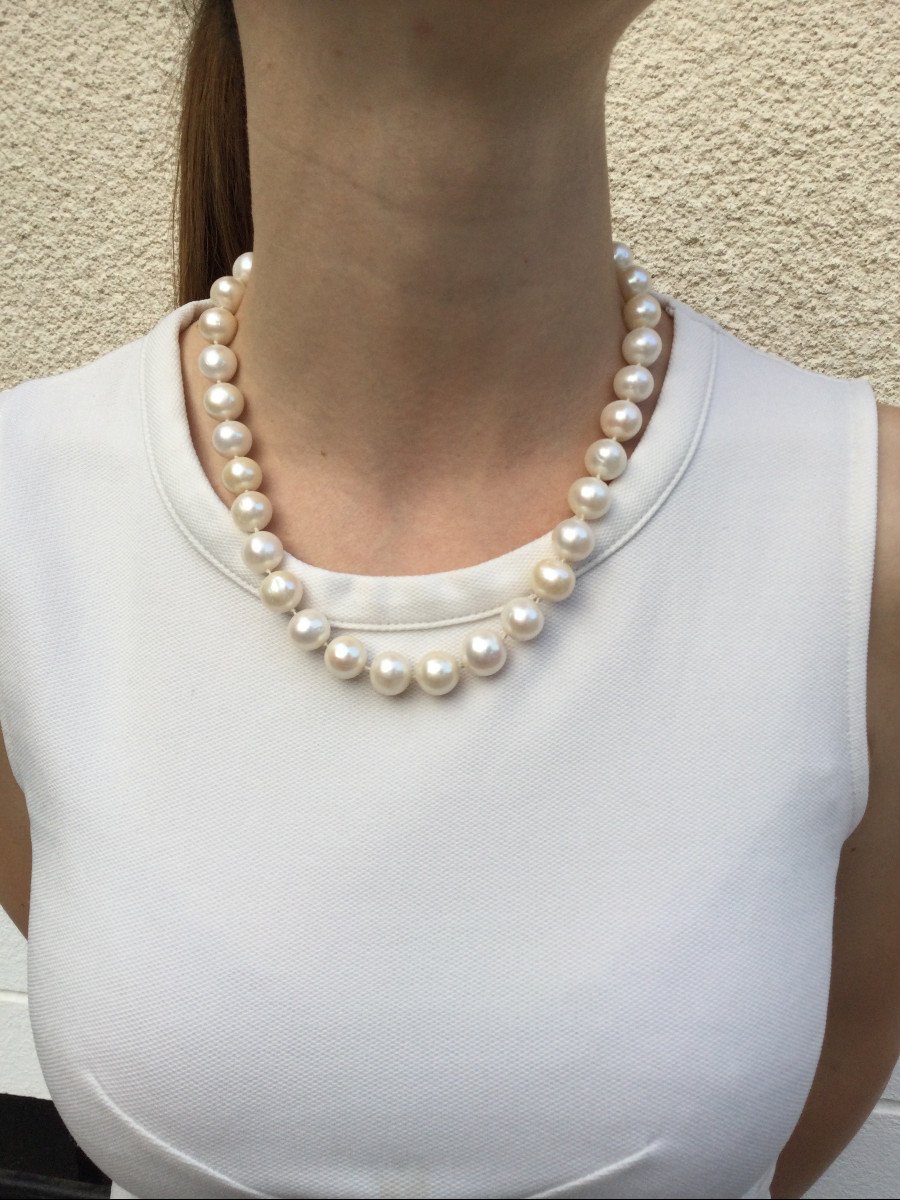 Acoya Pearl Necklace-photo-7