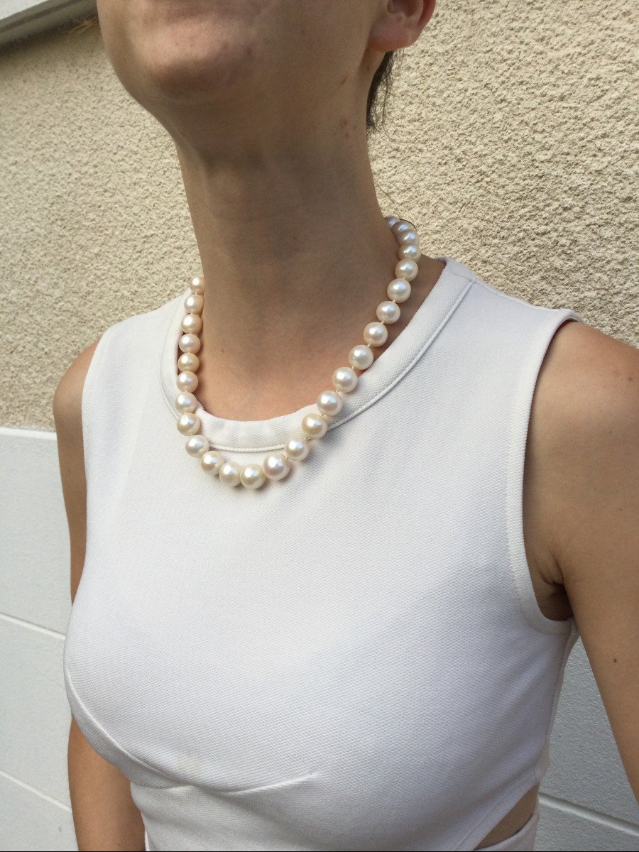 Acoya Pearl Necklace-photo-8