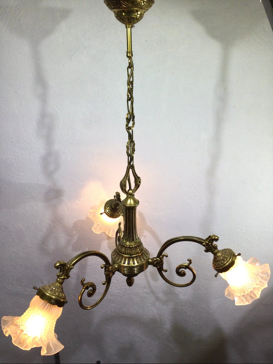 3 Light Chandelier In Bronze And Glass Tulips-photo-3
