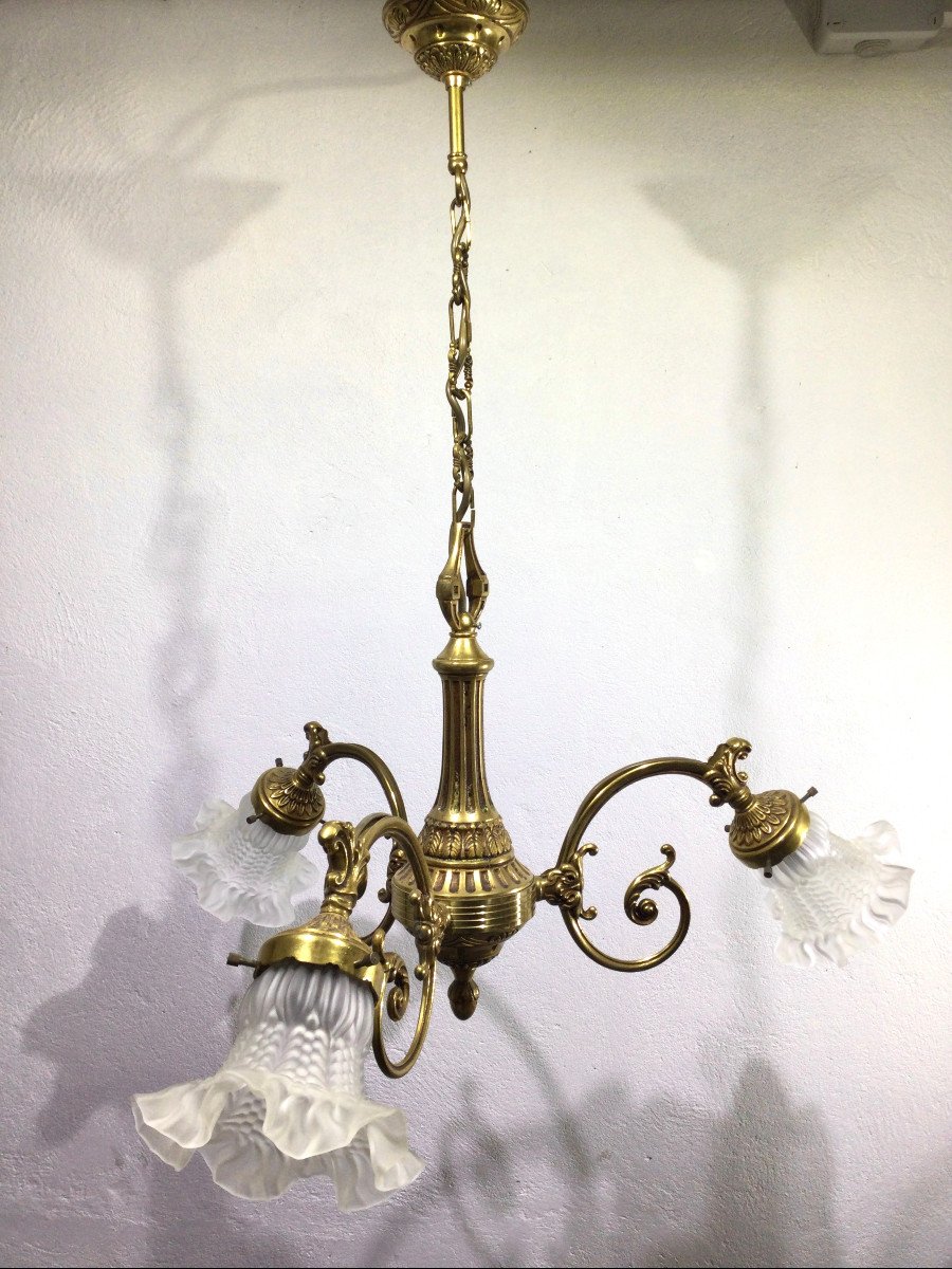 3 Light Chandelier In Bronze And Glass Tulips-photo-4
