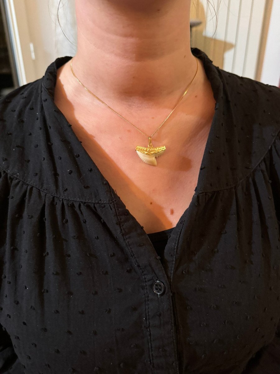 Gold Pendant And Shark Tooth -photo-7