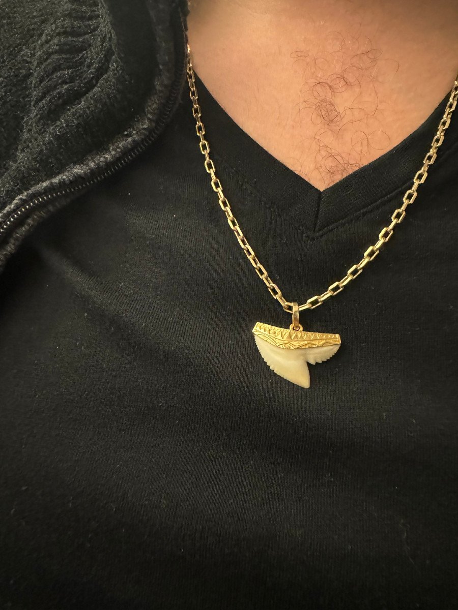 Gold Pendant And Shark Tooth -photo-8