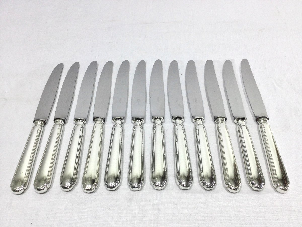 Ercuis – 12 Silver Metal Ribbon Knives