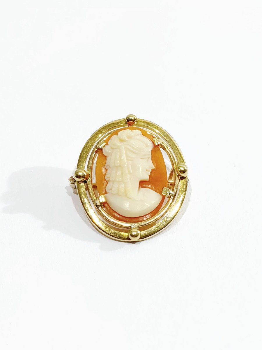 Broche camée coquillage