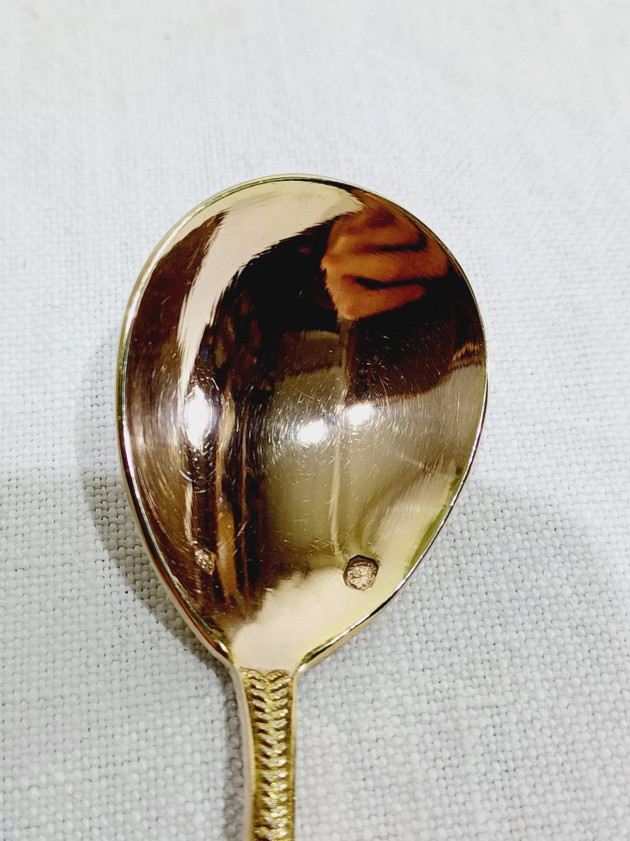 Hénin Et Cie – 12 Teaspoons With Russian Handle In Vermeil-photo-6