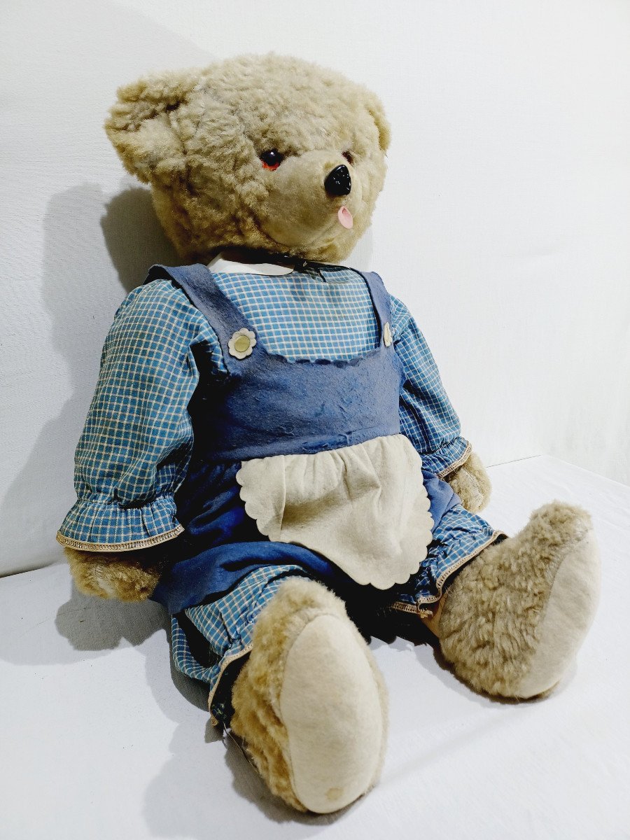 Teddy Bear	-photo-2