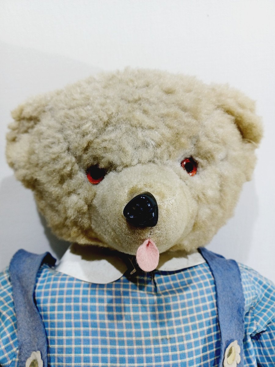 Teddy Bear	-photo-4