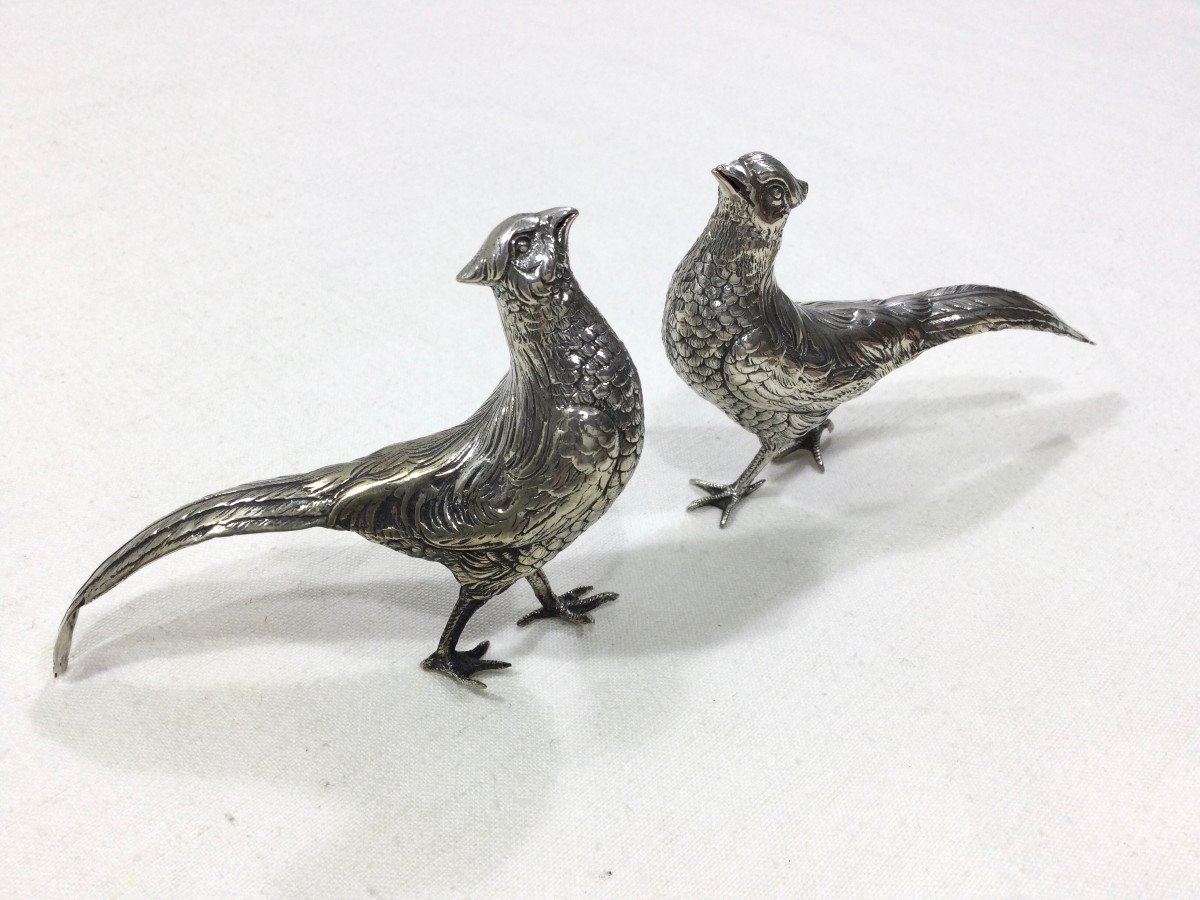 Pair Of Silver Pheasants-photo-3