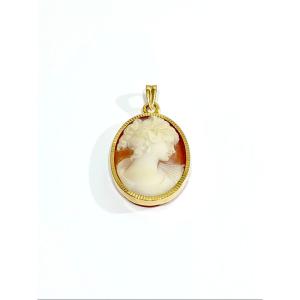 Gold Pendant And Shell Cameo  
