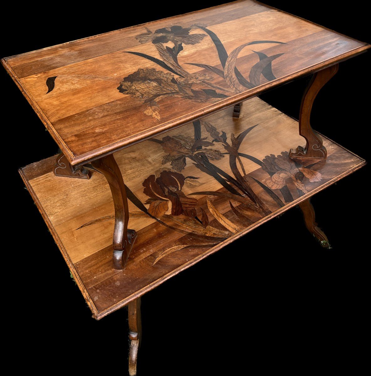 Beautiful Tea Table, Emile Gallé, On Two Trays, Marquetry, First Period