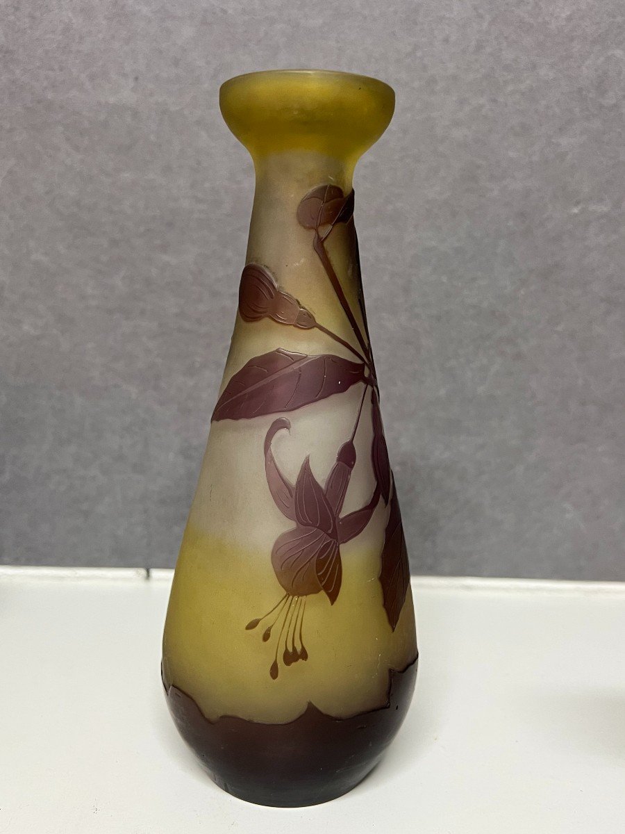 Emile Gallé Vase, Art Nouveau Period, Decor Released With Acid-photo-3