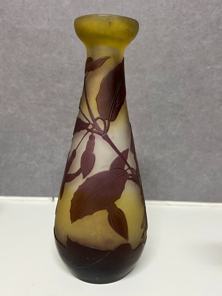 Emile Gallé Vase, Art Nouveau Period, Decor Released With Acid-photo-4