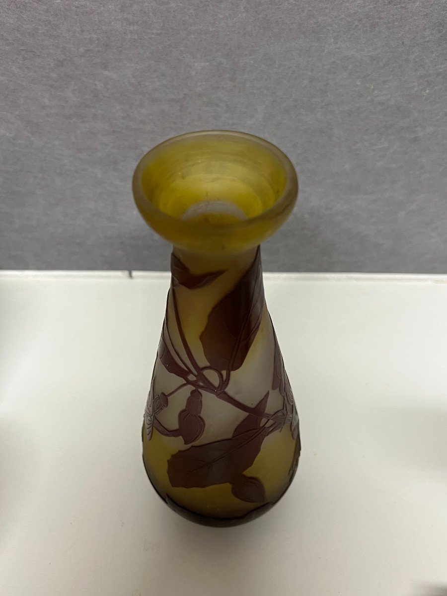 Emile Gallé Vase, Art Nouveau Period, Decor Released With Acid-photo-1