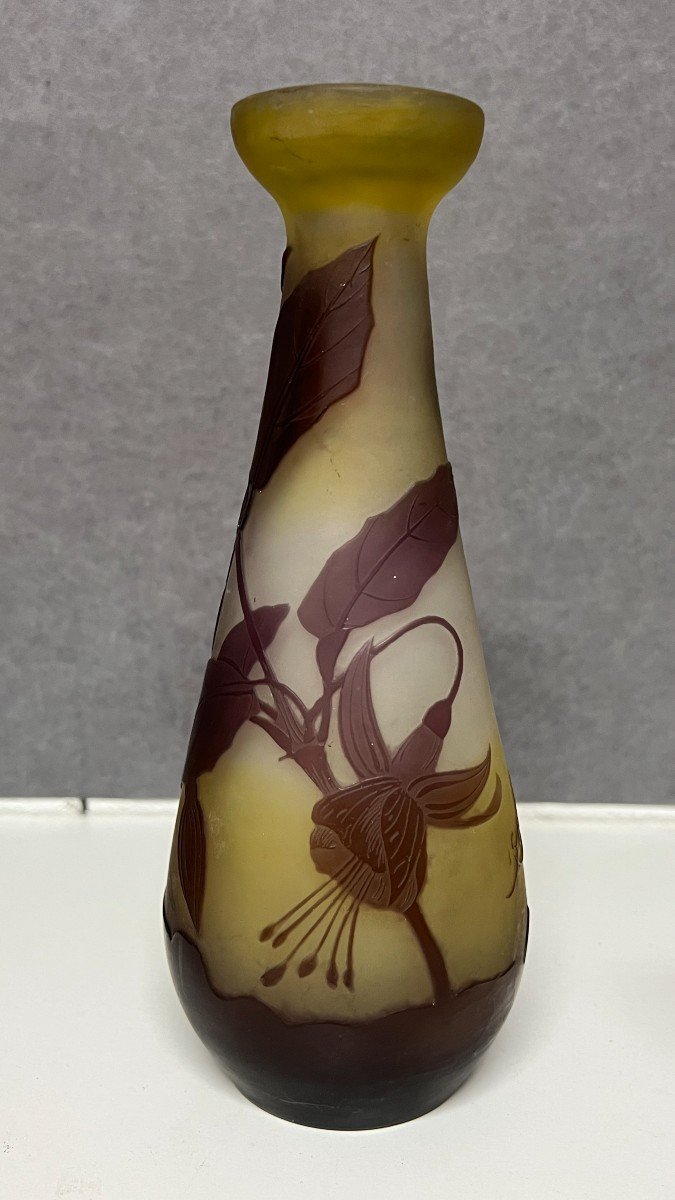 Emile Gallé Vase, Art Nouveau Period, Decor Released With Acid