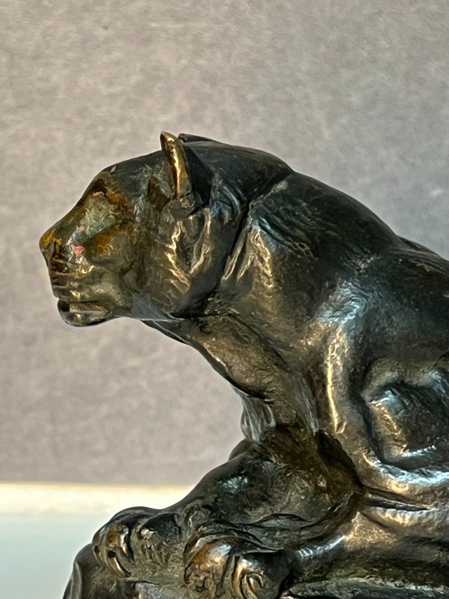 Animal Bronze Sculpture, Tunis Panther No 2, By Antoine Louis Barye 19th Century-photo-2