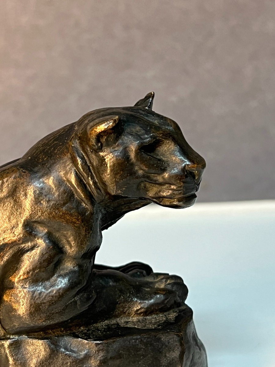 Animal Bronze Sculpture, Tunis Panther No 2, By Antoine Louis Barye 19th Century-photo-5