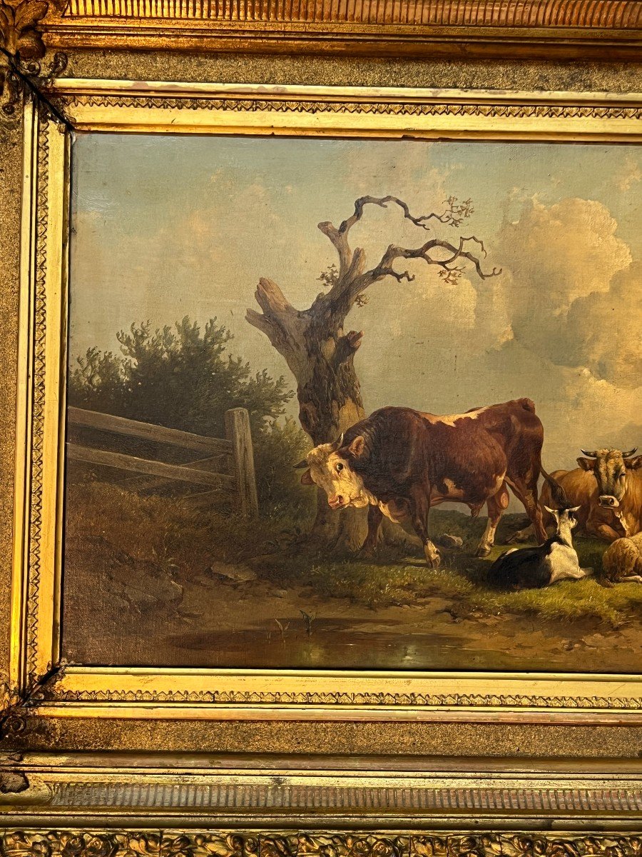 Edmund Mahlknecht (1820-1903 ) Tableau Huile Sur Toile Représentant Des Vaches Et Mouton Etc ..-photo-3