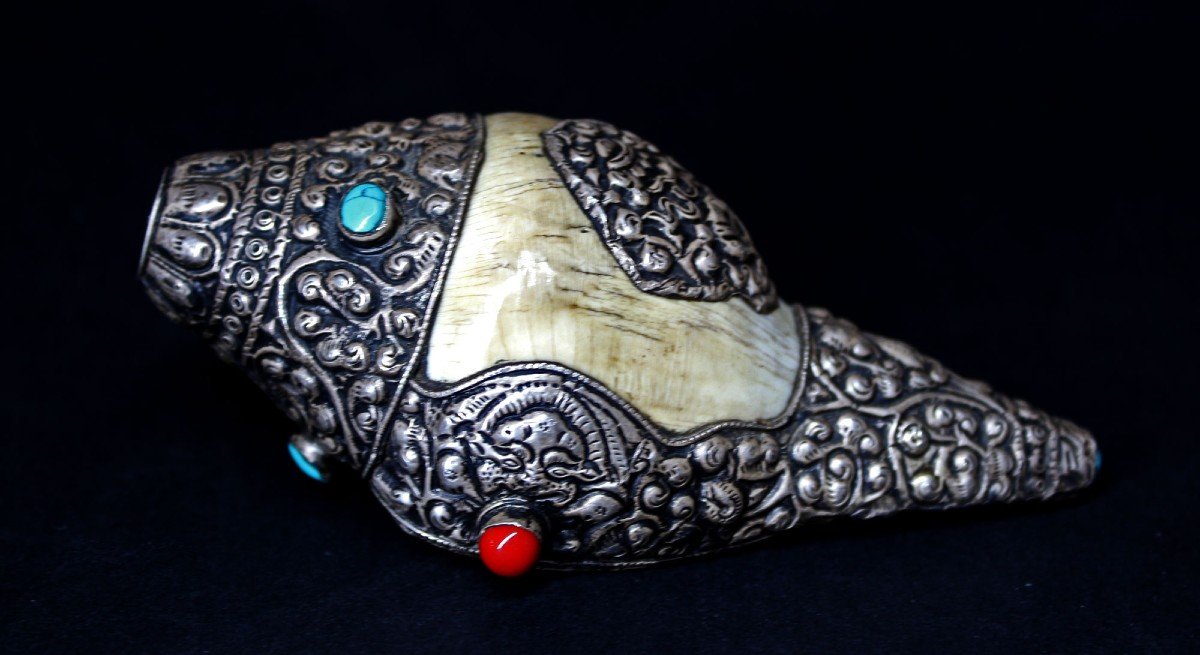 Tibetan Buddhist Ritual Conch Shell With Silver Mounts Buddha -photo-3