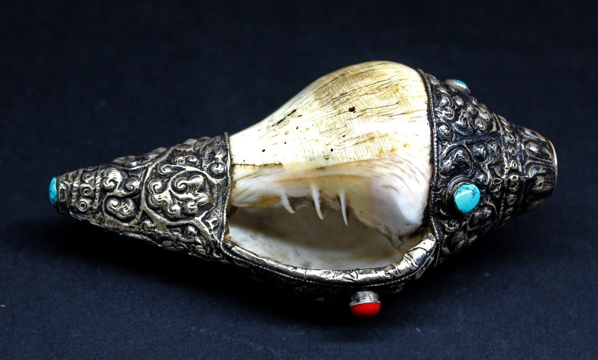 Tibetan Buddhist Ritual Conch Shell With Silver Mounts Buddha -photo-1