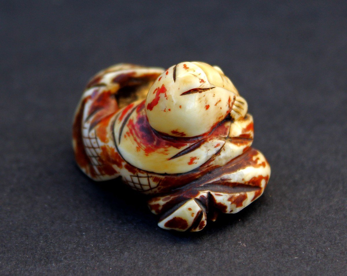 Netsuke Japonais Antique Fukurokuju Polychrome Signé Dieu De La Sagesse XIXe Siècle-photo-2