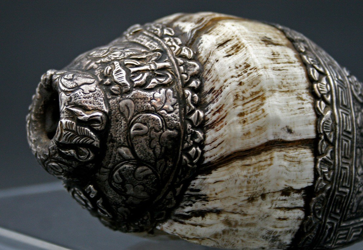 Antique Tibetan Conch Mounted In  Silver Shankha-photo-4