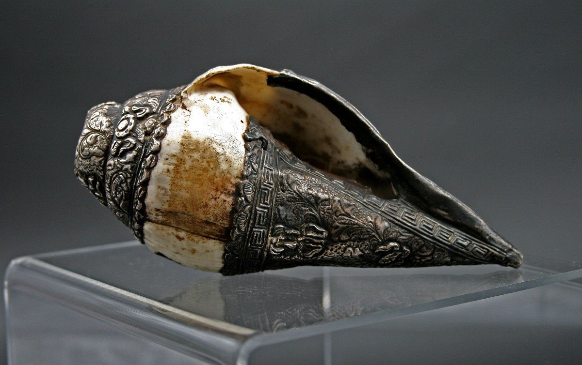 Antique Tibetan Conch Mounted In  Silver Shankha-photo-1