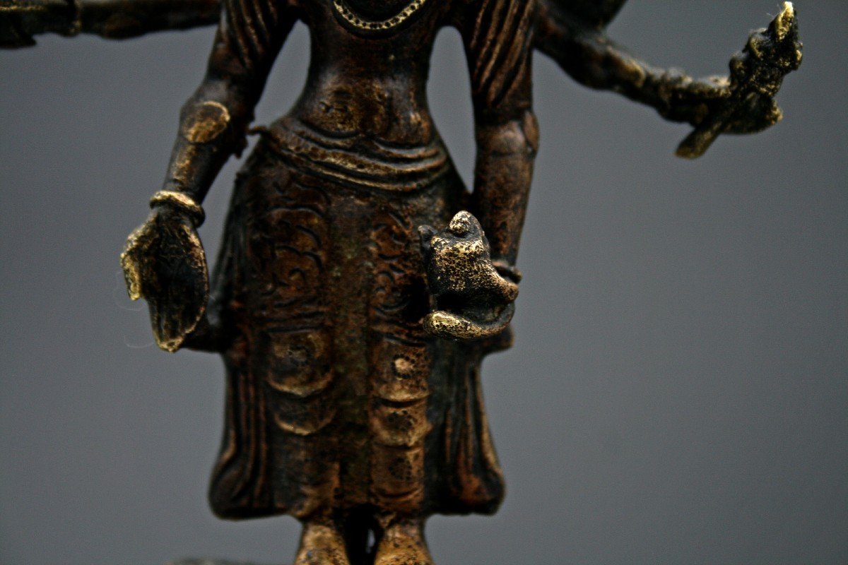 Ancienne Figure Tibétaine Bouddhiste En Bronze Du Parnashavari  Protecteur Contre Les Maladies -photo-2