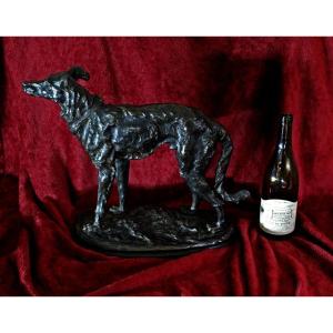 Large French Animalier Bronze Scottish Deerhound Signed Marcel Debut 1865-1933 