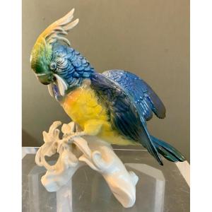 Porcelain Parrot Karl Ens