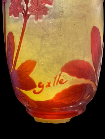 Red Galle Glassware Primrose Decor-photo-2