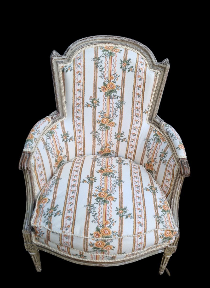 Louis XVI Period Bergere Pierre Frey Fabric-photo-2