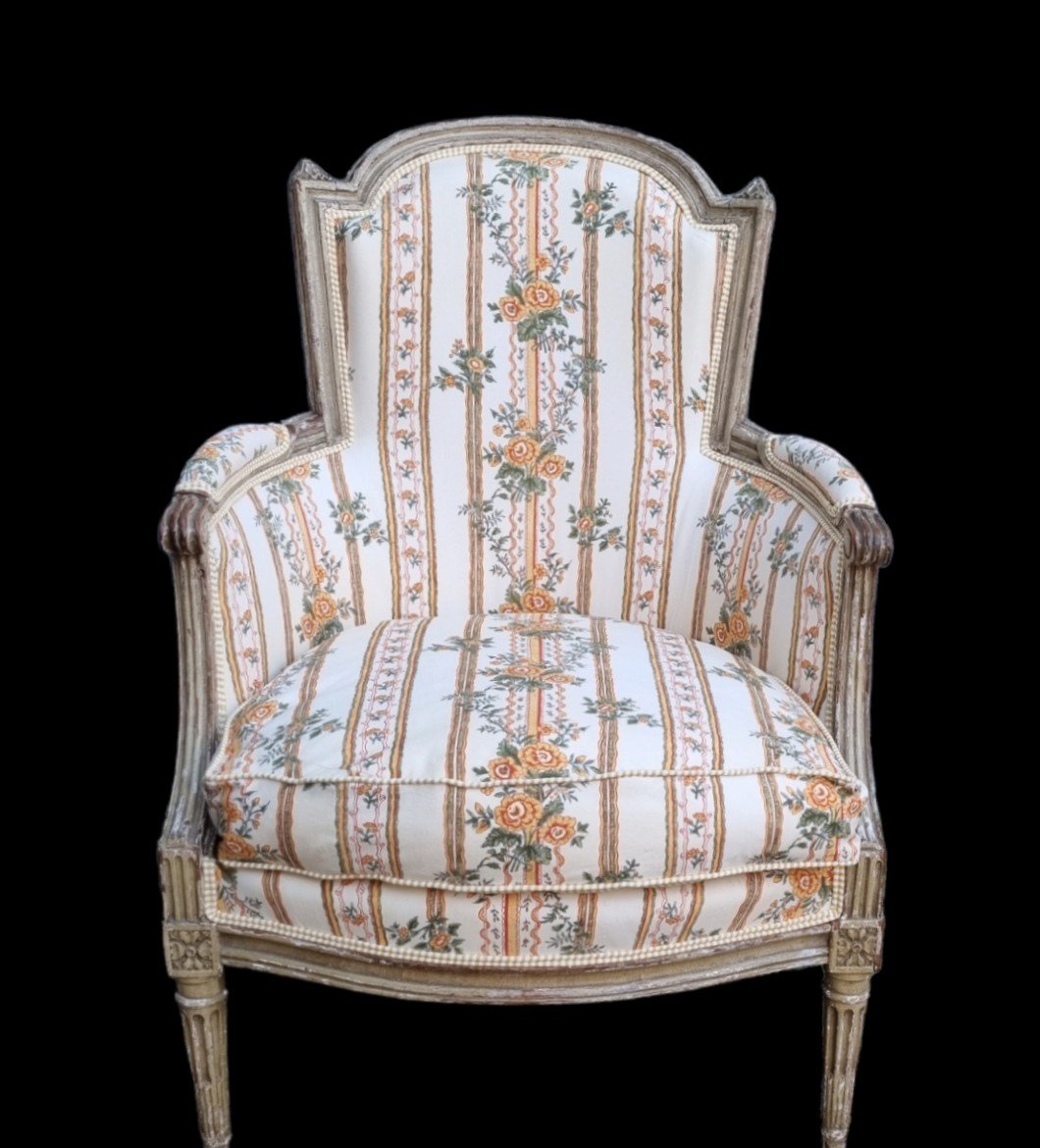 Louis XVI Period Bergere Pierre Frey Fabric-photo-4