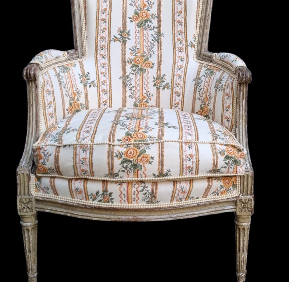 Louis XVI Period Bergere Pierre Frey Fabric-photo-7