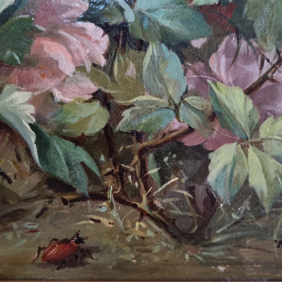 Oil On Canvas Still Life With Insects Bouquets Flowers 19th-photo-2