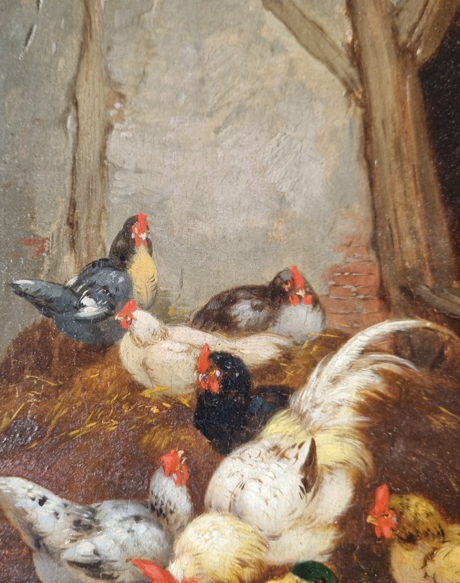 Claude Guilleminet The Farmyard Hen Cock Duck-photo-7