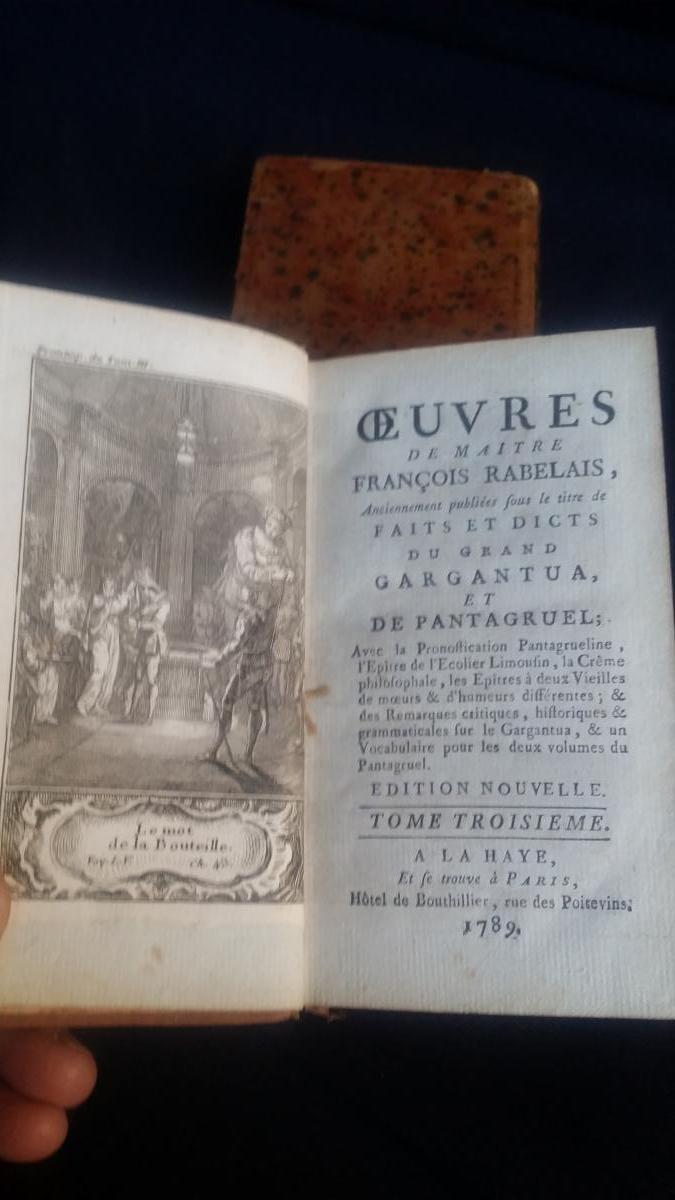 RABELAIS - OEUVRES 1789 COMPLET GRAVURES XVIIIE -photo-3