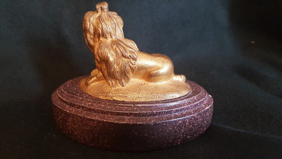 Golden Bronze Dog On Base Napoleon III Animalier-photo-4