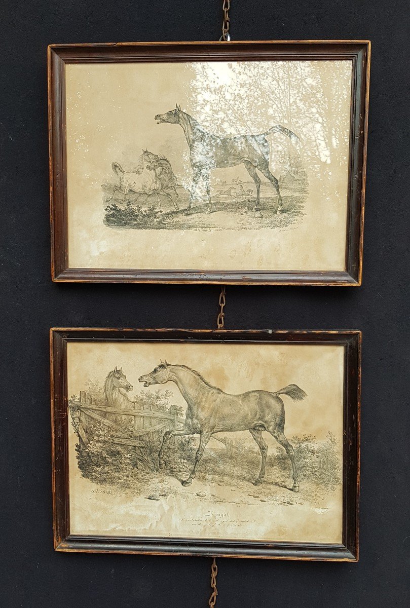 CARLE VERNET DEUX GRAVURES CHEVAUX  LITHOGRAPHIE GRAVURE ESTAMPES