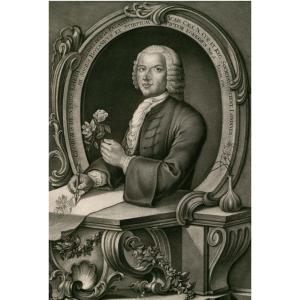 Portrait Of Georg Dionysius Ehret (1710-1770) By Johann Jakob Haid Botanical Engraving 18th C.