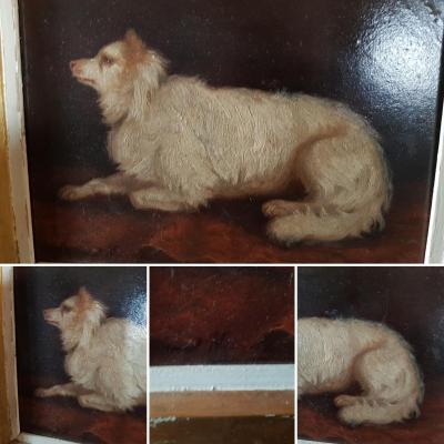 Portrait Of Dog By Brunel Of Neuville Hunting