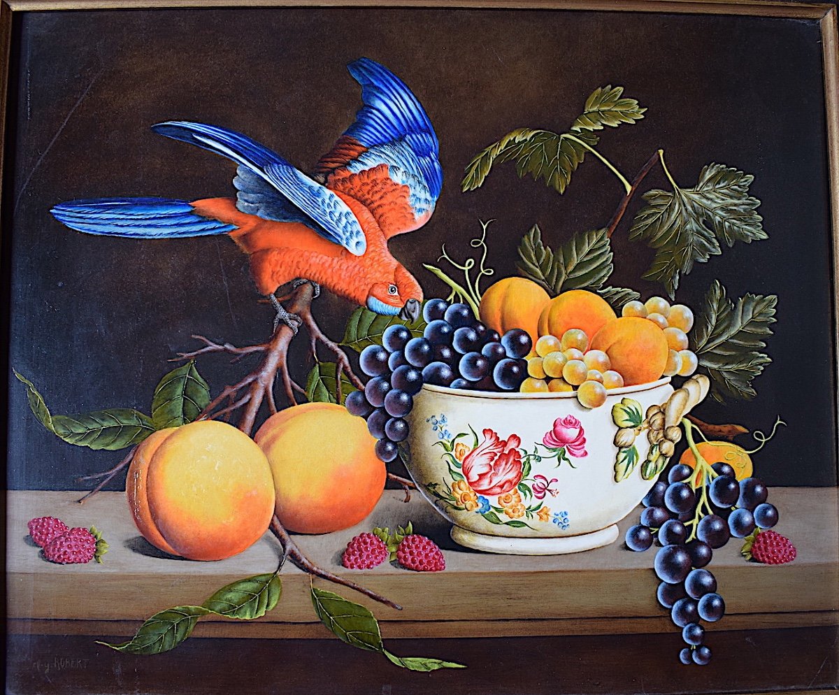 Claude Yves Robert Still Life Fruits Bird Parakeet Of Travies XX Rt670-photo-3