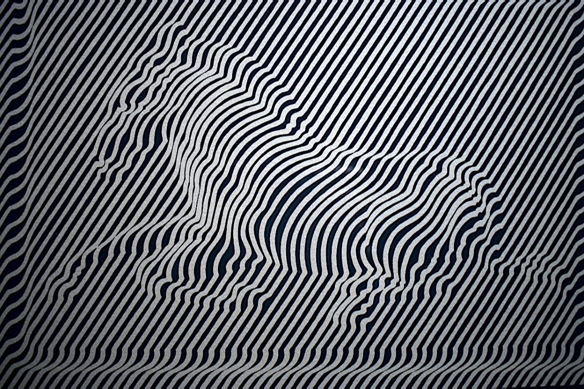 Victor Vasarely Zebra Kinetic Art Op Art Screenprint 20th Rt1201-photo-4