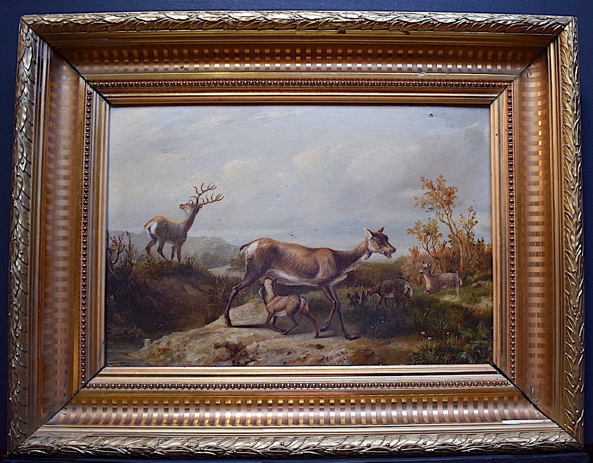 Achille Désiré Chirac XIX 1841 Animalier Deer Doe Hunting Fawn Rt459-photo-5